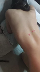 母狗调教
